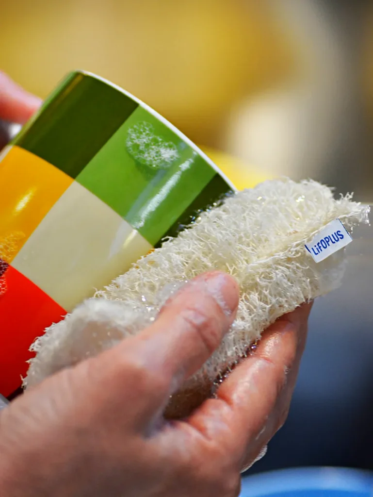 Flax LifoPlus Home Products Sponge