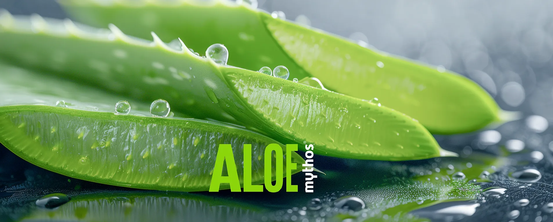 Flax Mythos Aloe Banner