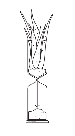 Flax Mythos Aloe Illustration Hourglass