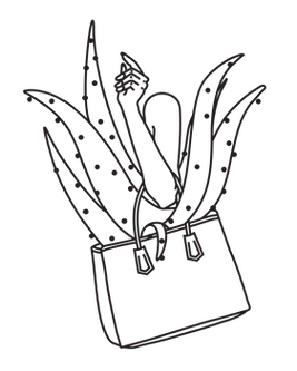 Flax Mythos Aloe Illustration Aloe Bag