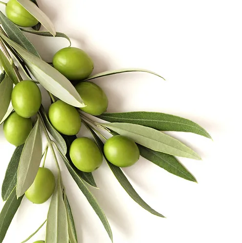 Flax Mythos Heroes: Olive Oil