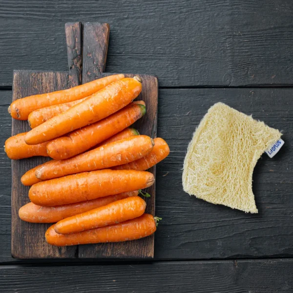 lifoplus-home-loofah-kitchen-sponge-very-strong-1