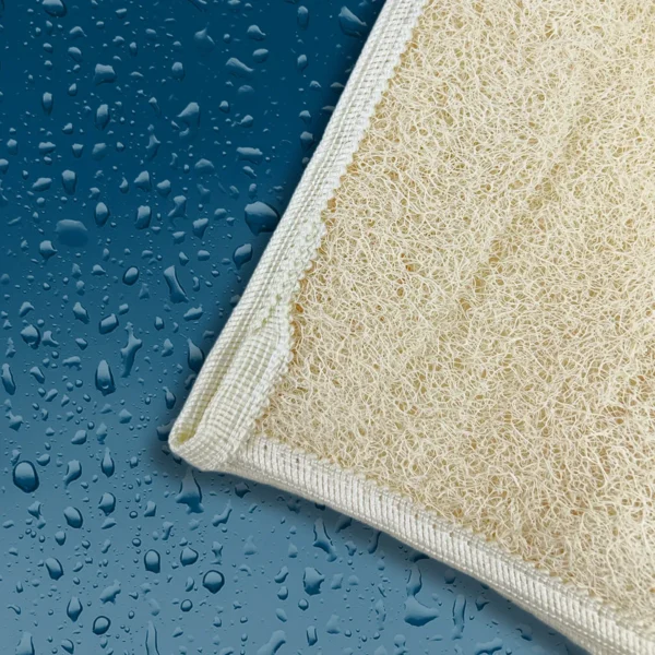 lifoplus-loofah-mitt-palm-shaped-1