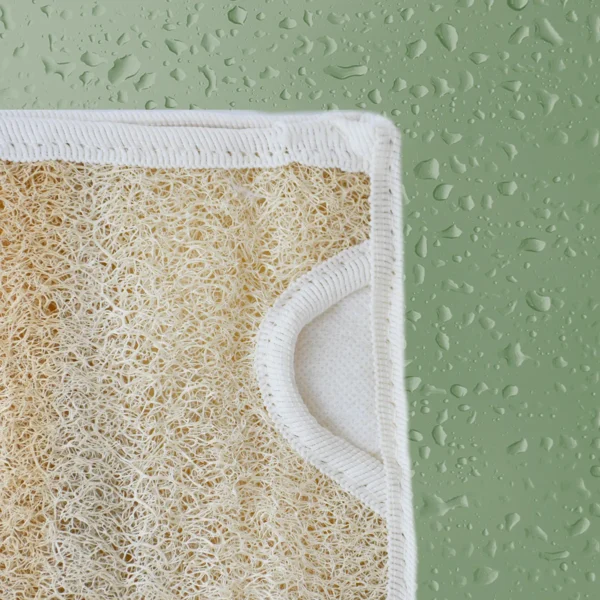 lifoplus-loofah-sponge-ambidextrous-2 lifoplus-loofah-sponge-ambidextrous-2