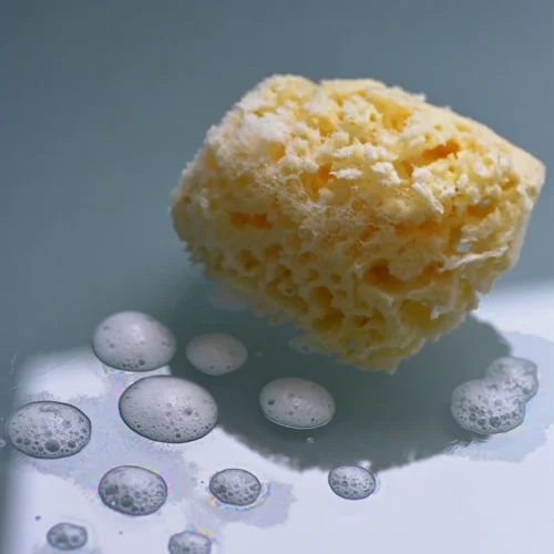 lifoplus-sea-sponge-for-body-1