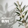 mythos-olive-tree-2