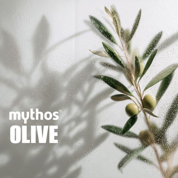 mythos-olive-tree-2